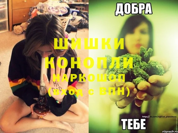 СК Магадан