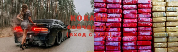 СК Магадан