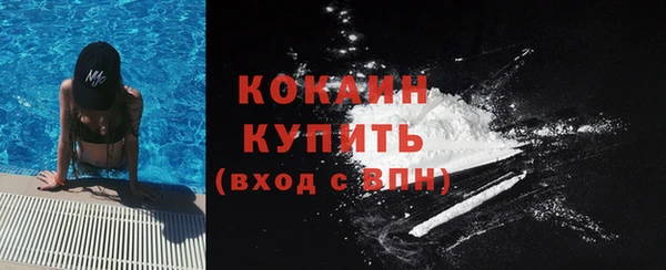 ГАЛЛЮЦИНОГЕННЫЕ ГРИБЫ Медвежьегорск